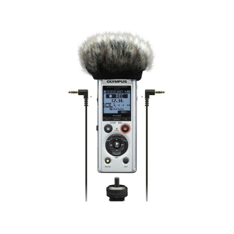 OLYMPUS LS-P1 Enregistreur Vocal Videographer