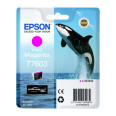 EPSON ENCRE T7603 ORQUE MAGENTA POUR P600