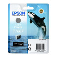 EPSON ENCRE T7607 ORQUE GRIS POUR P600