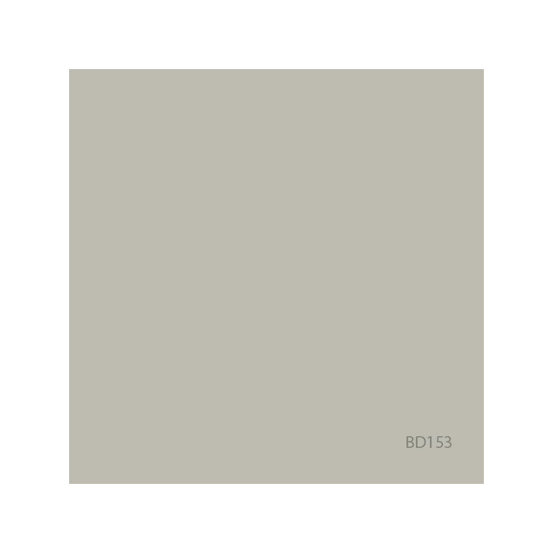 BD FOND STUDIO PAPIER 2,75 x 11 m Photo Gray