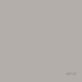 BD FOND STUDIO PAPIER 2,75 x 11 m Pursuit Gray