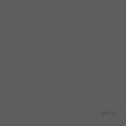 BD FOND STUDIO PAPIER 2,75 x 11 m Thunder Gray