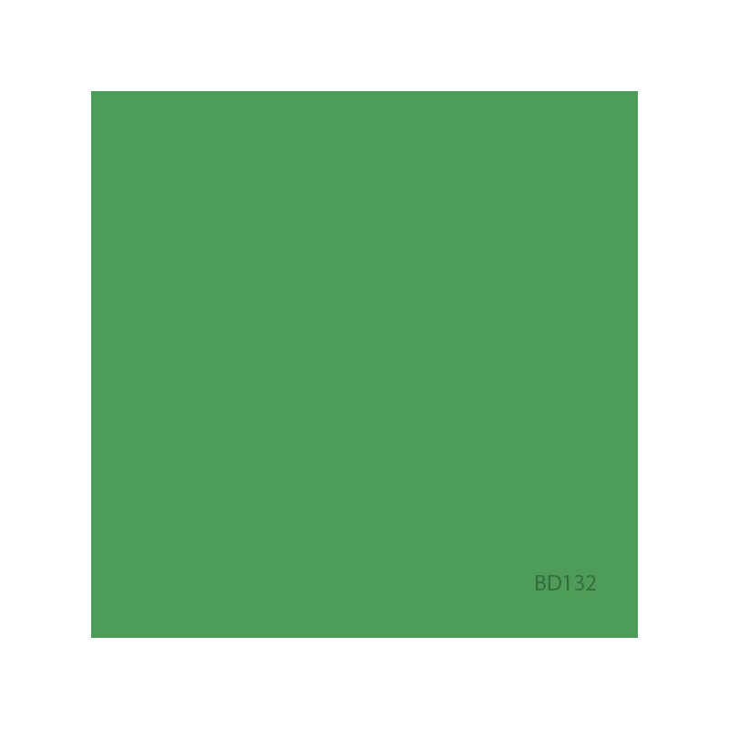 BD FOND STUDIO PAPIER 2,75 x 11 m Veri Green