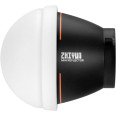 ZHIYUN MOLUS X60