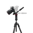 MANFROTTO Befree GT PRO 3-Way carbone