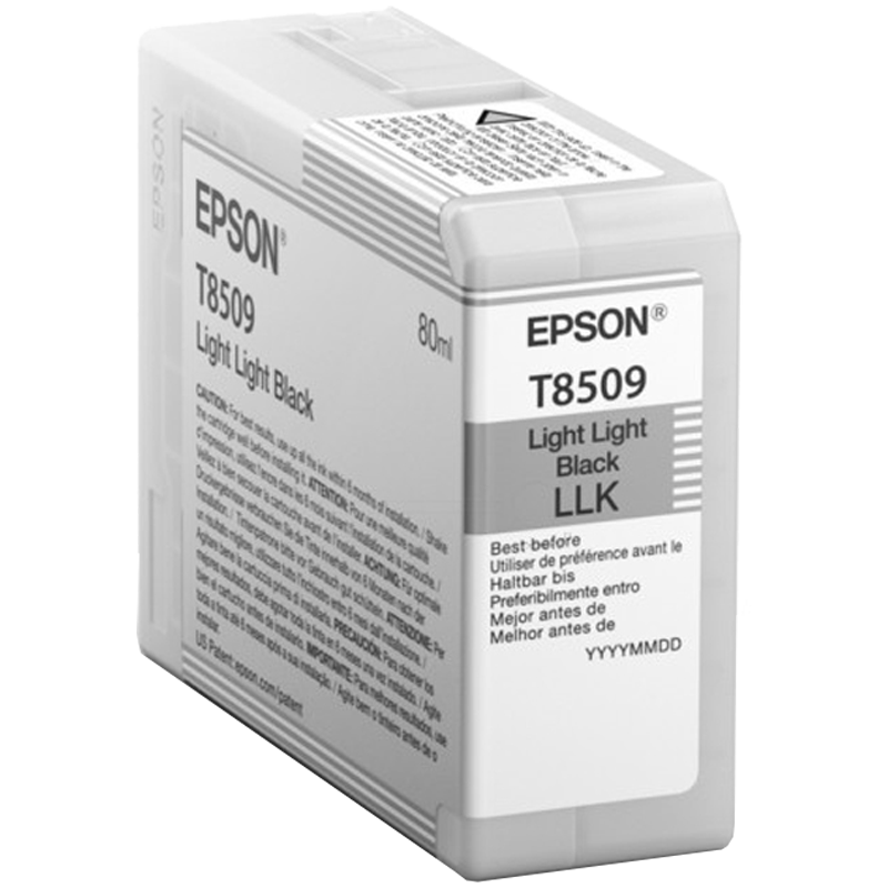 EPSON ENCRE T8509 LIGHT LIGHT BLACK POUR SC-P800