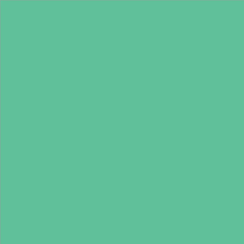 BD FOND STUDIO PAPIER 1,36 x 11 m Spring Green - 174