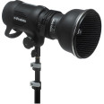 PROFOTO NID D'ABEILLE 10° POUR STANDARDZOOM