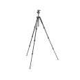 MANFROTTO MKELMII4BK-BH TREPIED ELEMENT MII TRAVELLER NOIR