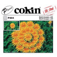 COKIN P204 FILTRE multi images X 25 P