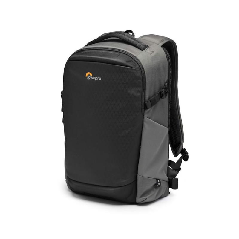 LOWEPRO FLIPSIDE 300 AW III gris